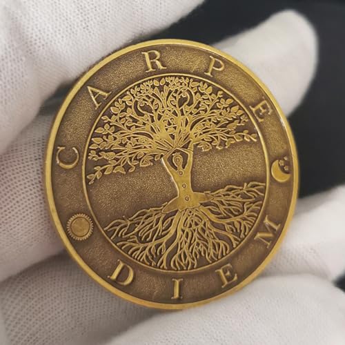 Memento Mori Carpe Diem Challenge Coin Stoic Reminder Token