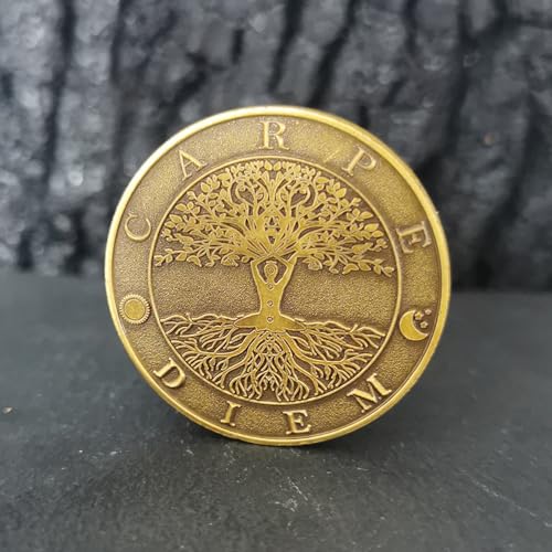Memento Mori Carpe Diem Challenge Coin Stoic Reminder Token
