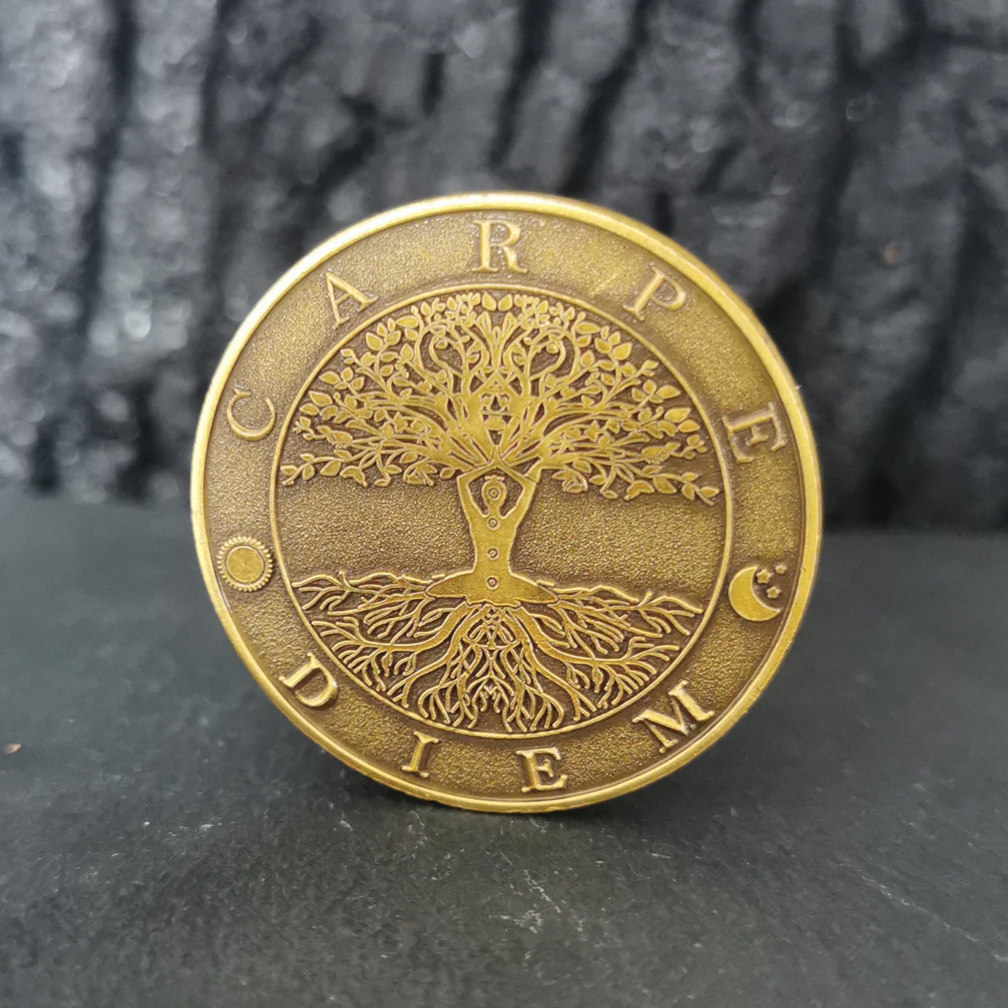 Memento Mori Carpe Diem Challenge Coin Stoic Reminder Token